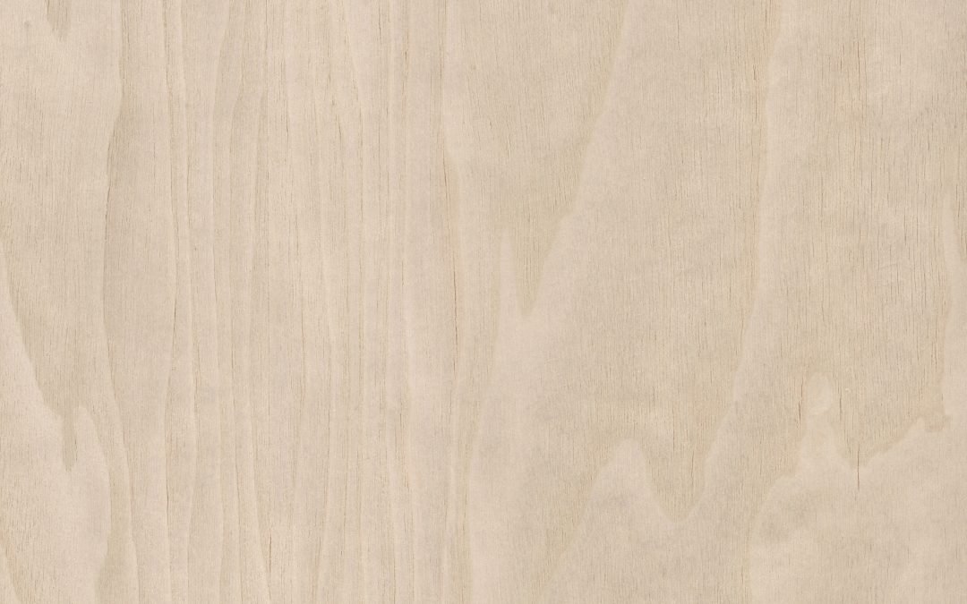 380 N. Snow Walnut PC