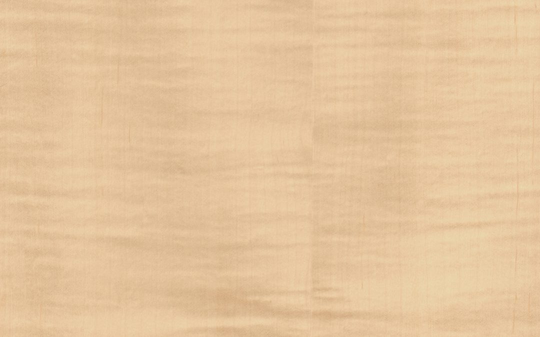 383 N. Figured Sycamore QC