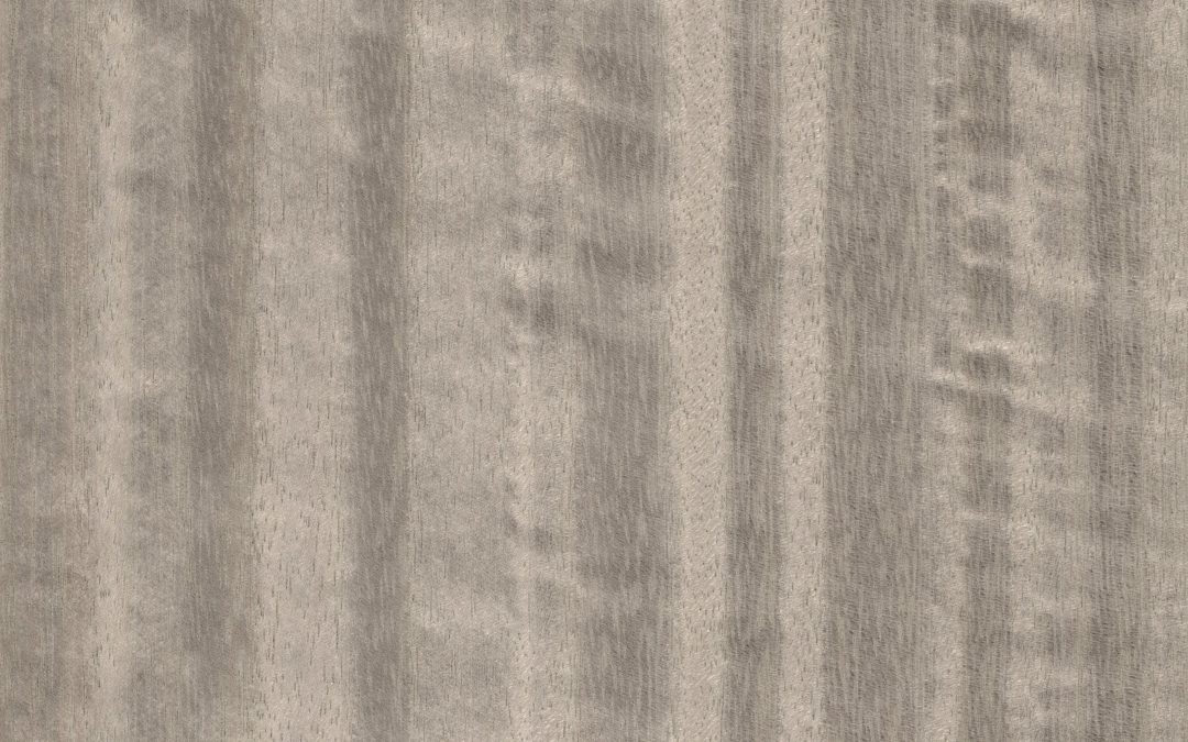 385 N. Figured Marlock QC