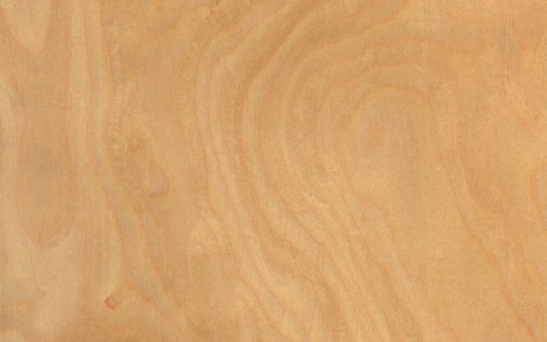 242 Recon Maple Burl