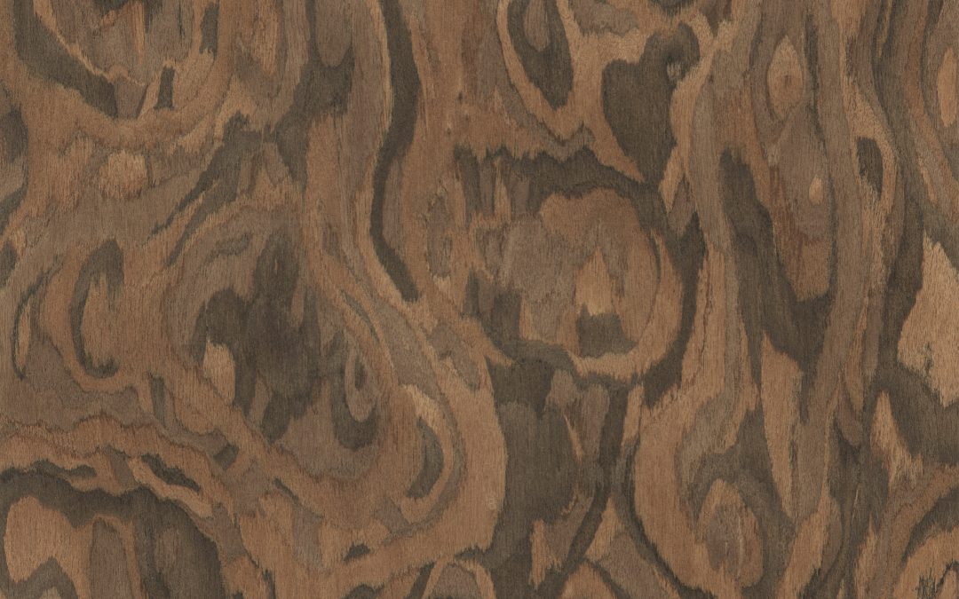 244 Recon Walnut Burl