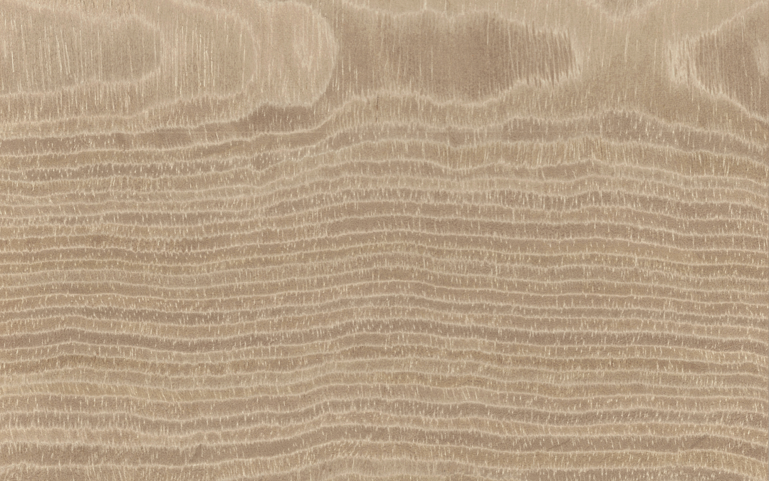 246 R. Horizon G. Ash PC